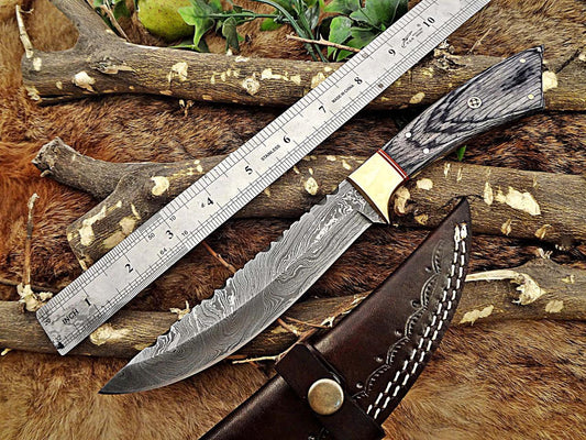 11 Long hand forged Damascus steel full tang clip point blade skinning Knife, Dollar wood with Brass bolster scale, Cow Leather sheath